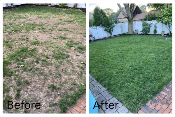 Lawn Maintenance