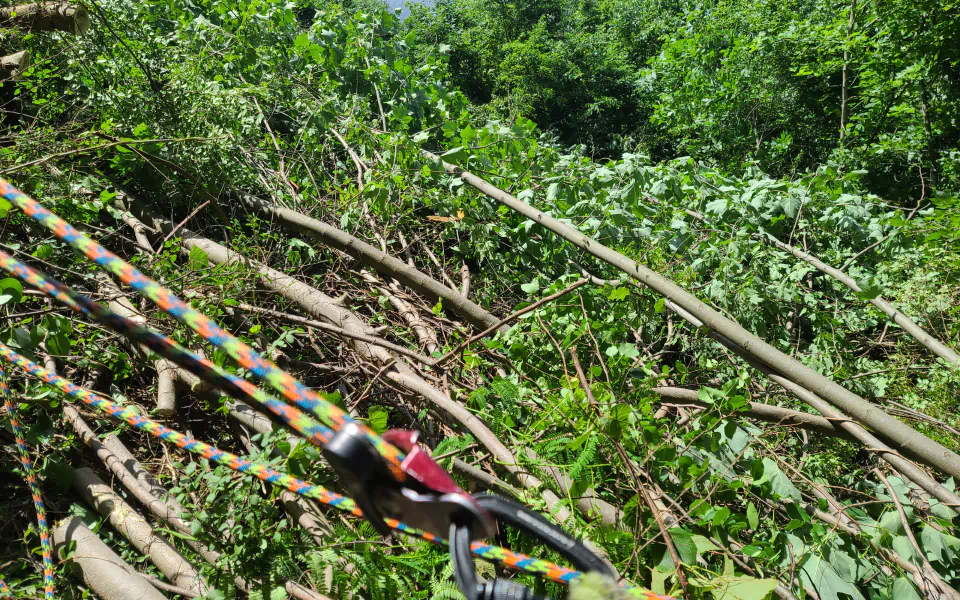 ongoing clearing ongoing clearing