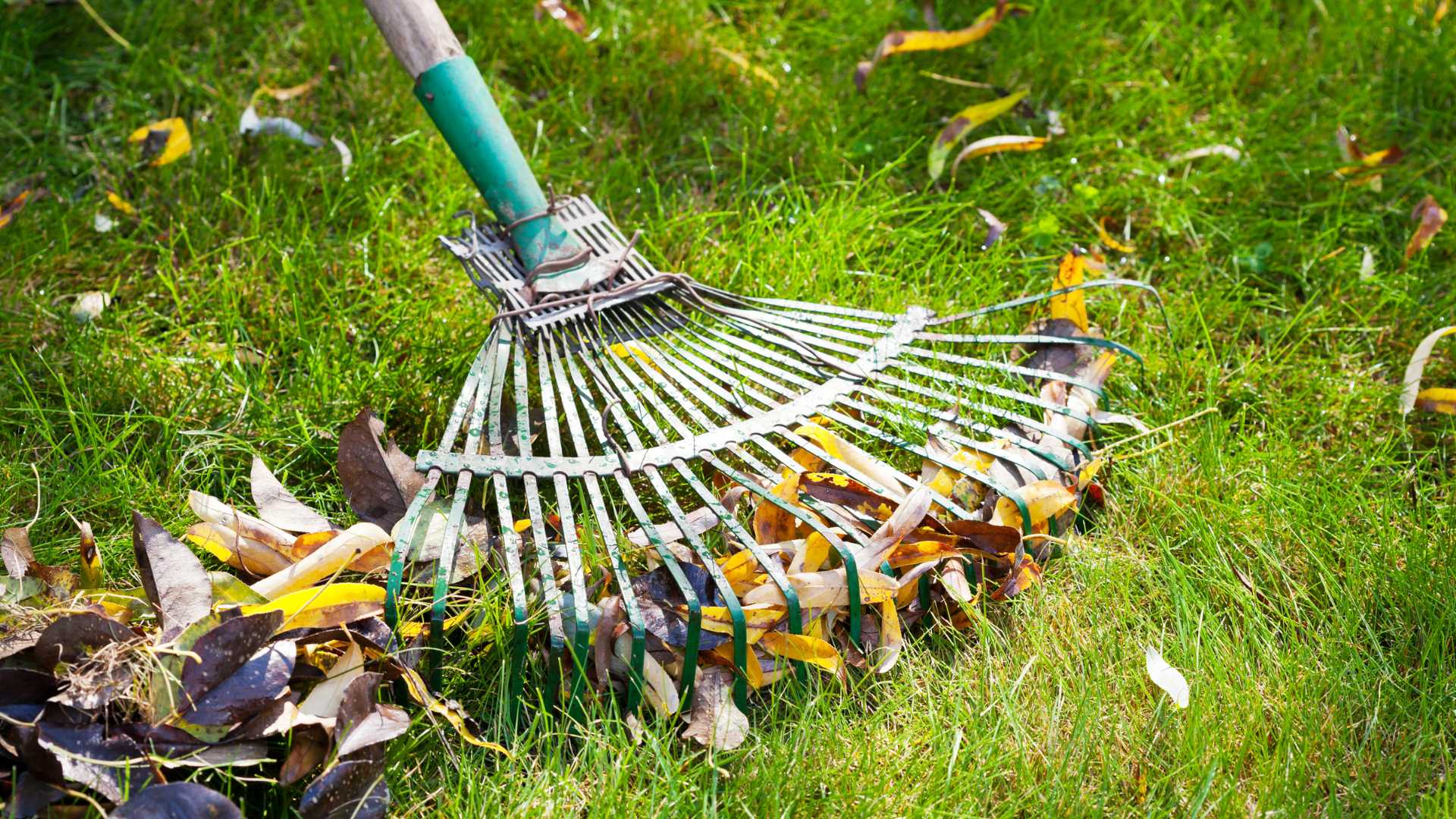 spring cleaning spring cleaning